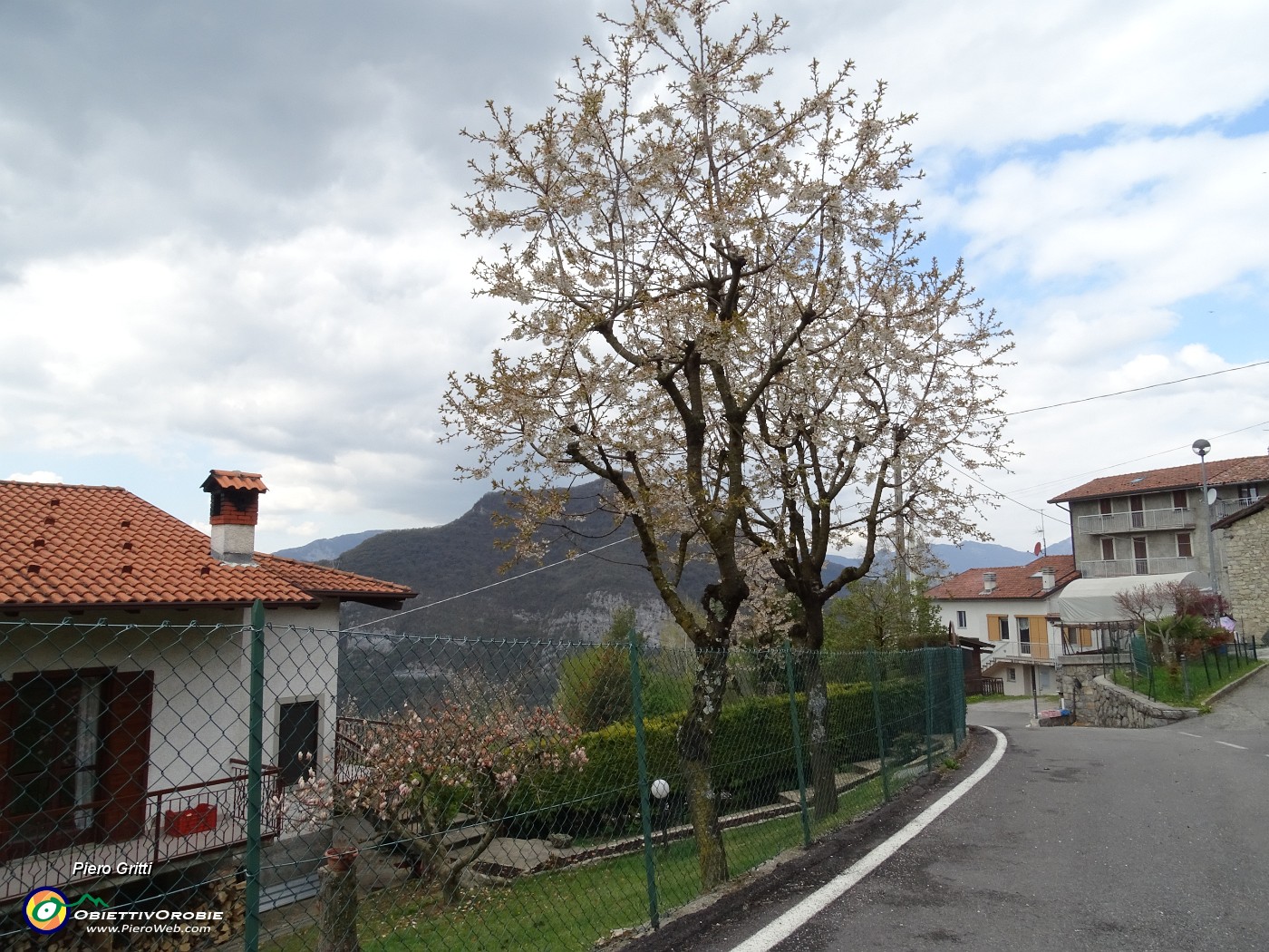 71 Seguendo la stradetta scendiamo al roccolo panoramico.JPG